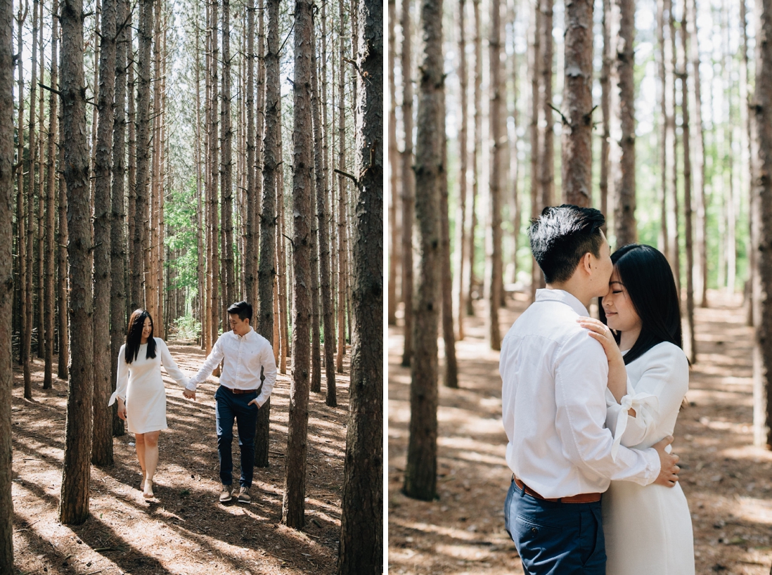 kortright conservation engagement photos, woodbridge | engagement photo locations in vaughan | eightyfifth street photography