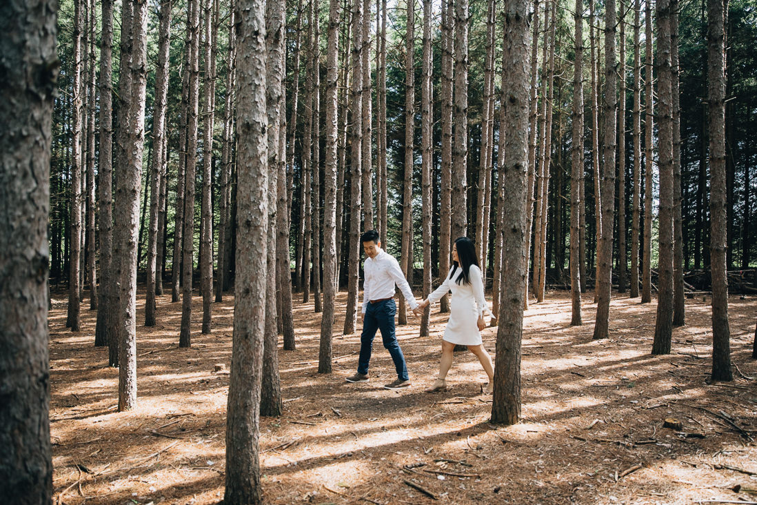 couple walking in the woods | kortright conservation engagement photos | engagement photo locations in vaughan | eightyfifth street photography