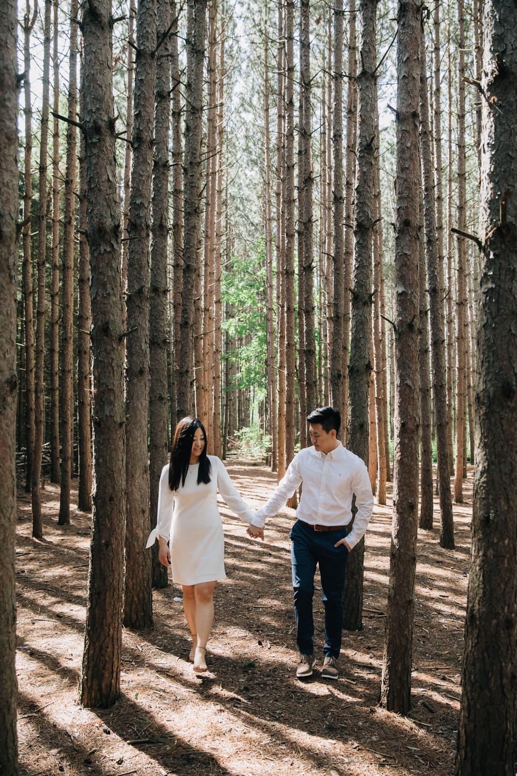 A couple having their engagement session at the Kortright Centre for Conservation in Woodbridge, walking through a pine forest.
