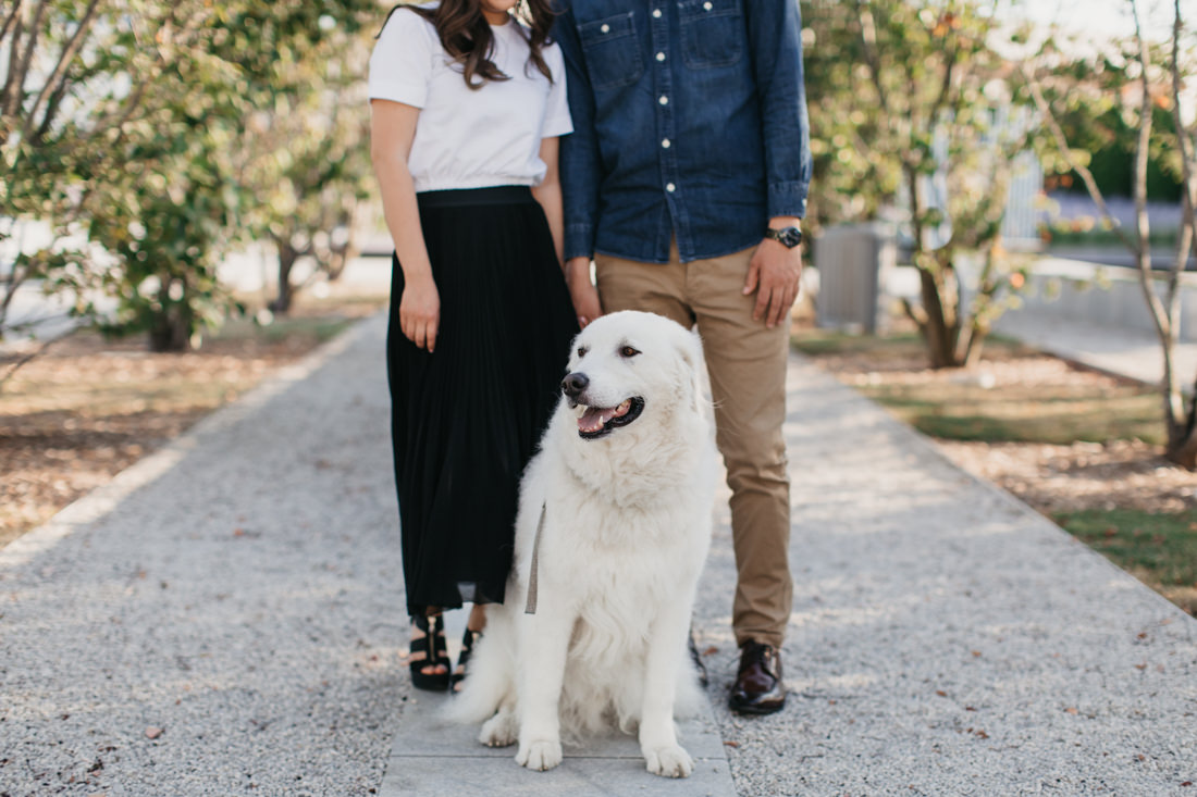 Engagement photo with pet dog | Toronto Wedding Photographer | EightyFifth Street Photography