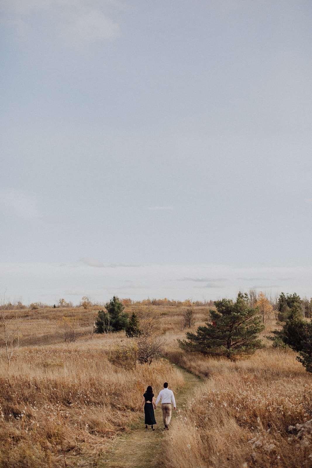 A couple walk hand in hand on a path in a field of long grass, seen from a distance, at their Forks of the Credit Provincial Park engagement in Caledon, Ontario.