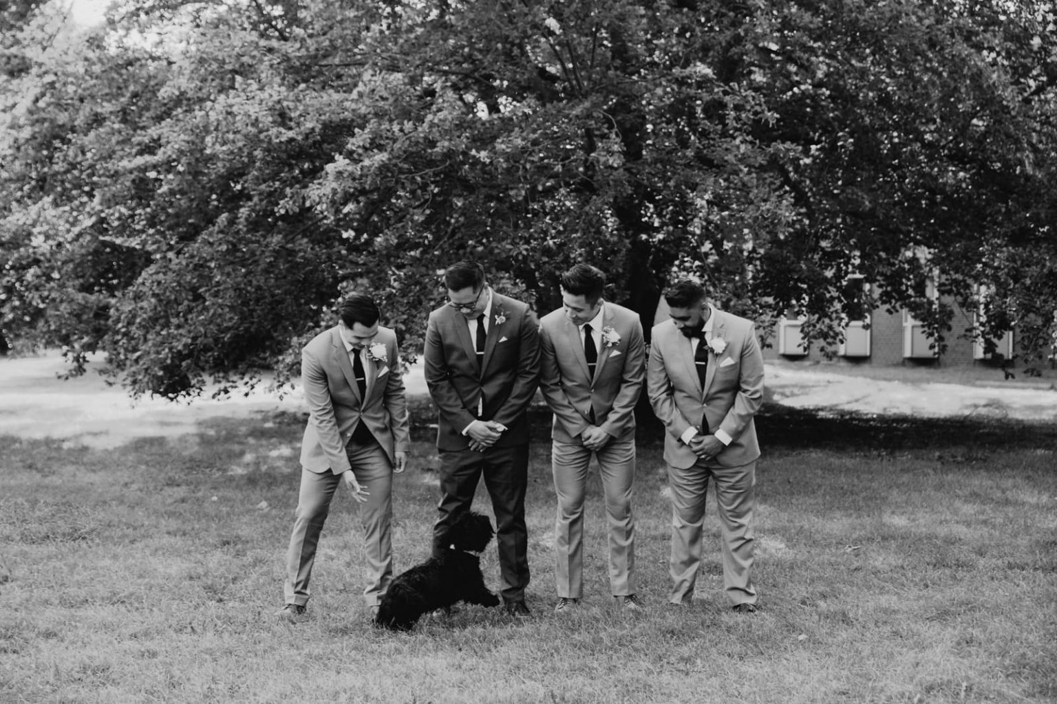 small dog photobombs grooms party photo