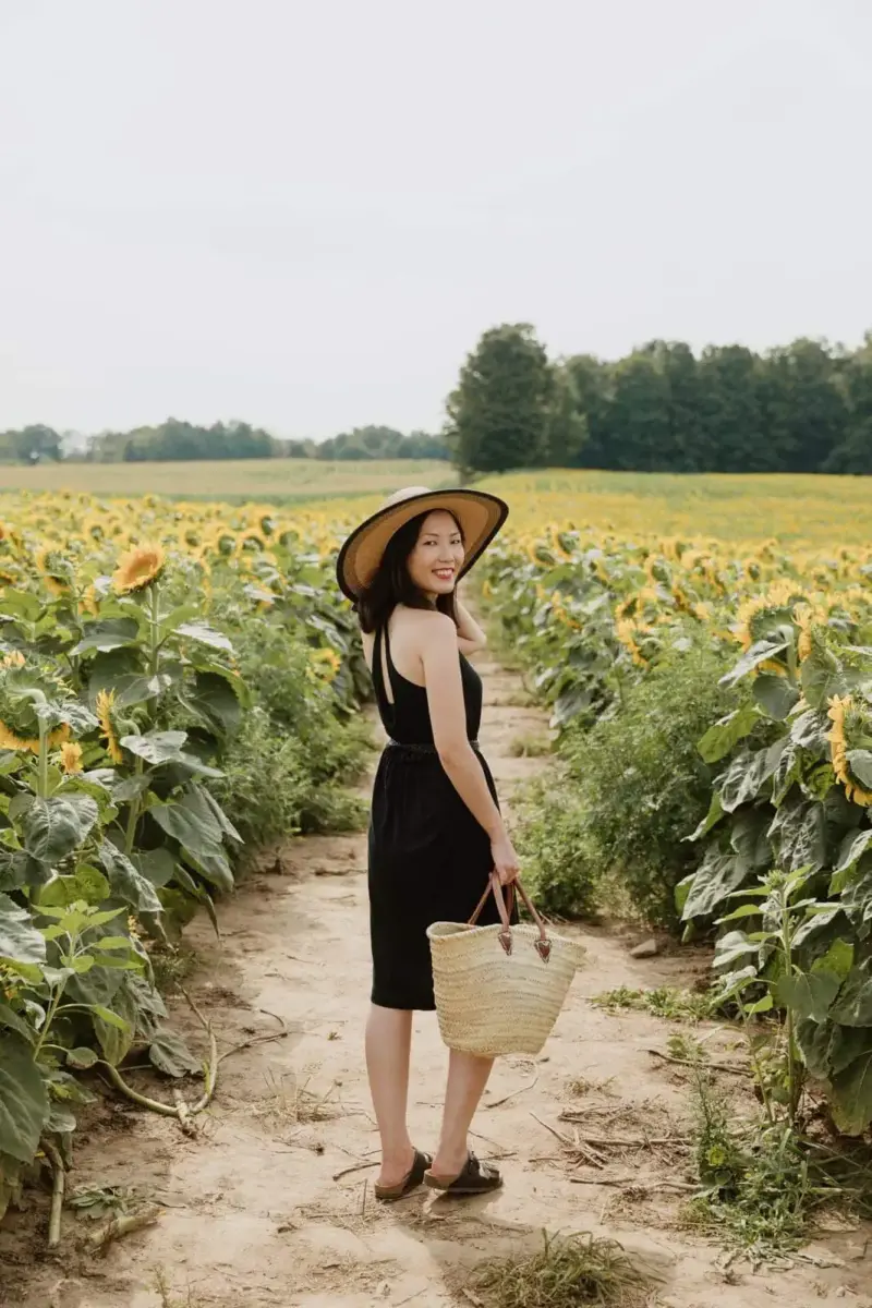 A woman in a black dress and wide brimmed hat walking through a field of sunflowers.